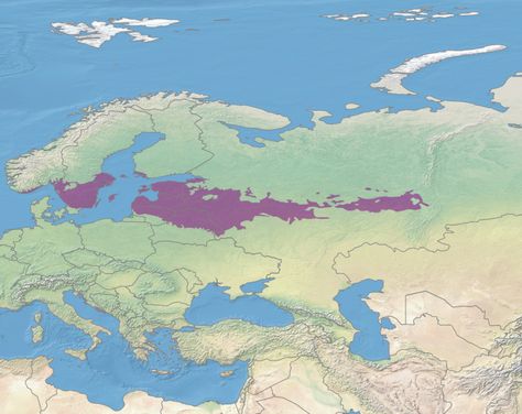 Eurasian Steppe, Ural Mountains, Caspian Sea, 19th Century Paintings, European Languages, Classical Antiquity, Historical People, Ancient Maps, Natural Selection