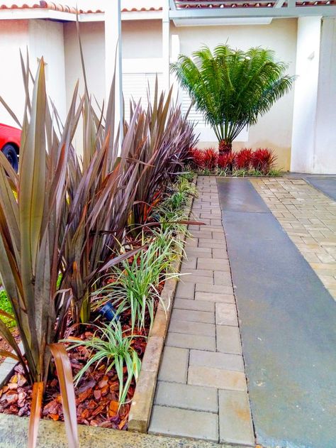 Lindo jardim composto por formio rubro, liriopes variegata, cica circinalis e dracena tricolor.  #cicacircinalis #liriopesvariegata #dracenatricolor #formiorubro #jardimresidencial #paisagismo #jardinagem #garden #iluminacaojardim #florestilo #florestilopaisagismo #florestilopontagrossa Dracena Tricolor, Exterior, Building, Plants, Quick Saves, Design, Art