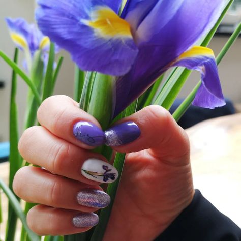 Iris Nails Design, Iris Flower Nail Art, Iris Nail Art, Iris Nails, Flower Purple, Iris Flower, Nail Fashion, Purple Iris, Flower Nail Art