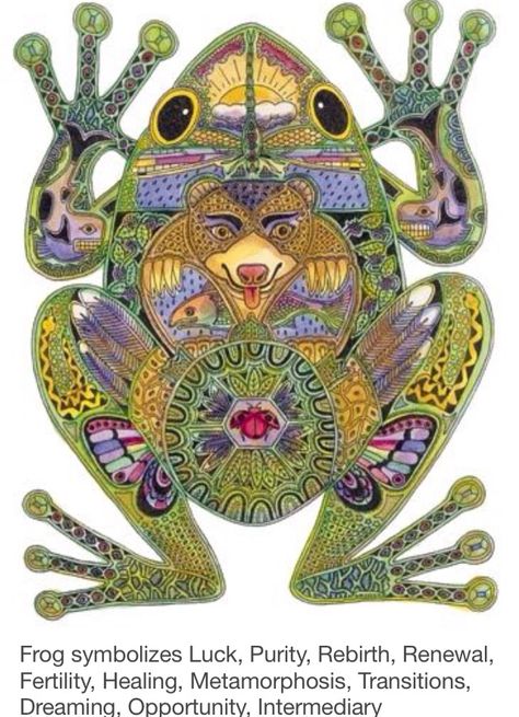 Frog was my first ever spirit animal and to this days holds special meaning to me. Their energy is light and carefree bringing happiness and levity. Animal Spirit Guides, Animal Medicine, Animal Guides, Power Animal, Frog Art, Earth Art, A Frog, Kids Story Books, Frog And Toad