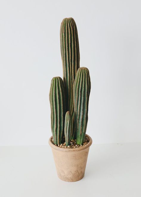 Desert Potted Plants, Cactus Plant, Potted Cactus, Fake Cactus, Desert Home Decor, Fake Potted Plants, Artificial Cactus, Cactus Plant Pots, Cactus House Plants