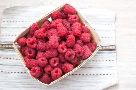 The experts at HGTV.com show you how to store fresh raspberries. Raspberry Plants, Food Wastage, Raspberry Recipes, Smoothie Prep, Classic Cheesecake, Fresh Raspberries, Red Raspberry, Good Healthy Snacks, How To Store