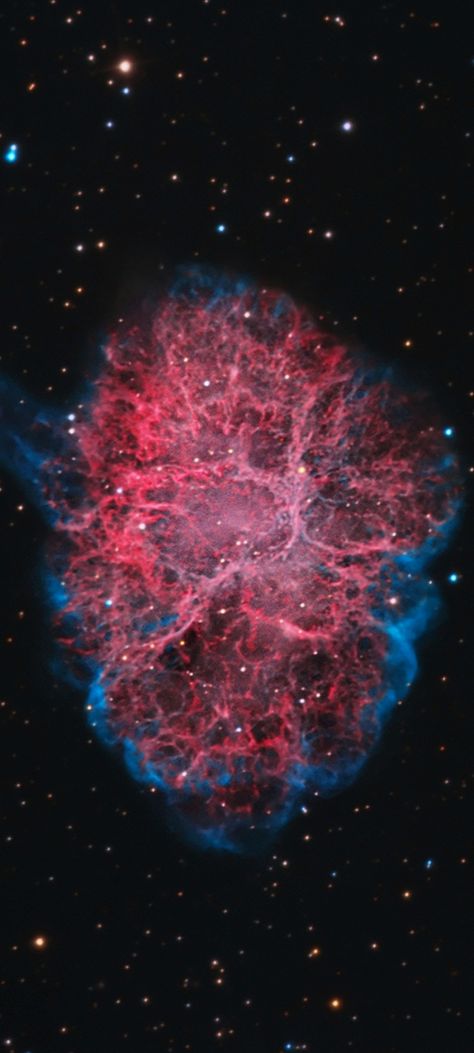 M-1 the Crab Nebula by Daphne & Tony Hallas cropped mobile wallpaper 1080x2400 Crab Nebula, Telescope Images, Galaxy Images, Nebulas, James Webb, James Webb Space Telescope, The Crab, Hubble Space, Space Photos