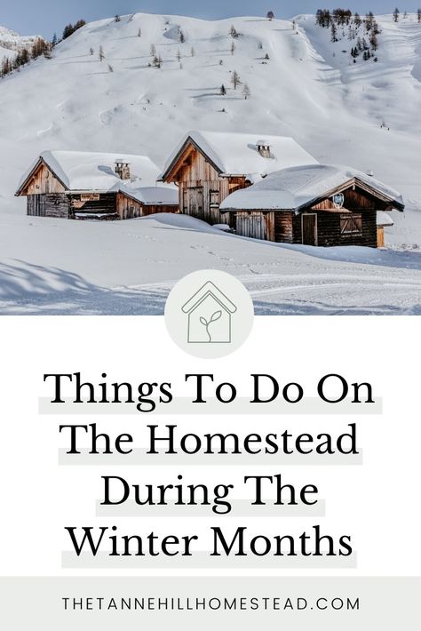 15 Things To Do On The Homestead During The Winter Months Winter Homesteading, Winter Homestead, Eco Farm, Homestead Recipes, Homesteading For Beginners, Worm Composting, Chicken Keeping, Homesteading Ideas, Farm Projects