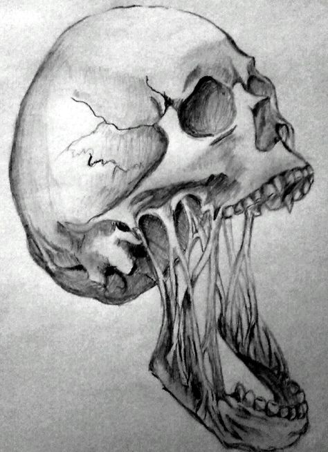 Thanks Everyone, Human Skull, Pencil Drawing, Drawing Ideas, Pencil, Internet, Human