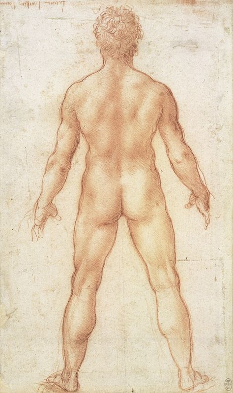 Leonardo Da Vinci Dibujos, National Gallery Of Ireland, Male Figure Drawing, Master Drawing, Human Figure Drawing, The Royal Collection, Figure Study, Figure Drawing Reference, Male Figure