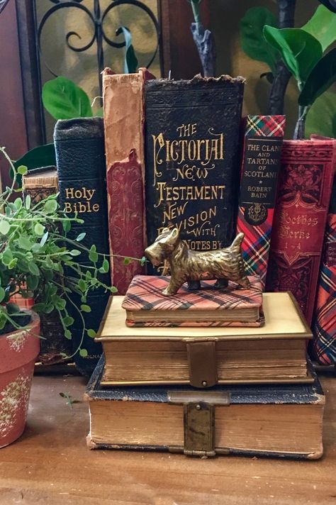 Scottish Decor, Bookcase Decor, Casa Vintage, Bookshelf Styling, Cottagecore Style, Shelf Styling, Scottie Dog, Buffet Table, Home Library