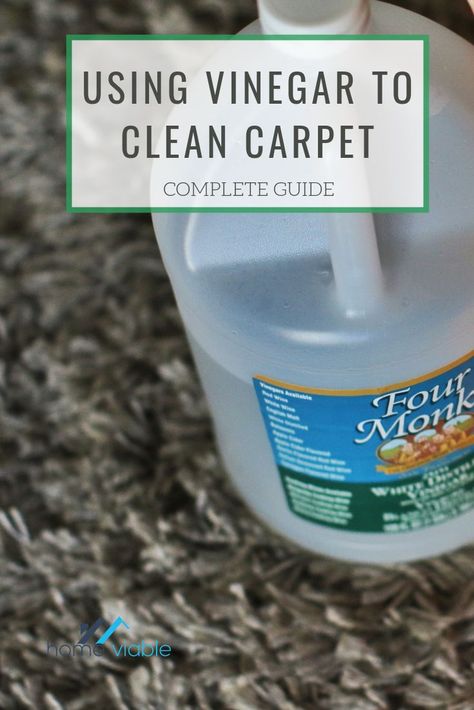 Learn how to use vinegar to clean your carpets. This all natural home product can be used to remove tough, deep stains on your carpet, and is safe for your pets and any kids. #homeviable #cleancarpet #vinegar #DIY #allnatural #petsafe Shampoo Carpet, Using Vinegar To Clean, Cleaning Vinegar, Shampoo Diy, Arm And Hammer Super Washing Soda, All Natural Home, All Natural Cleaning Products, Carpet Cleaner Solution, Clean Carpet