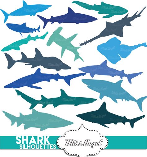 Sharks silhouettes clip art. Digital shark silhouettes, blue shades. Printable scrapbook sharks. White shark, hammerhead, reef shark Shark Printables, Bookmarks Stickers, Grey Reef Shark, Zebra Shark, Cat Shark, Shark Silhouette, Types Of Sharks, Reef Shark, Tiger Shark