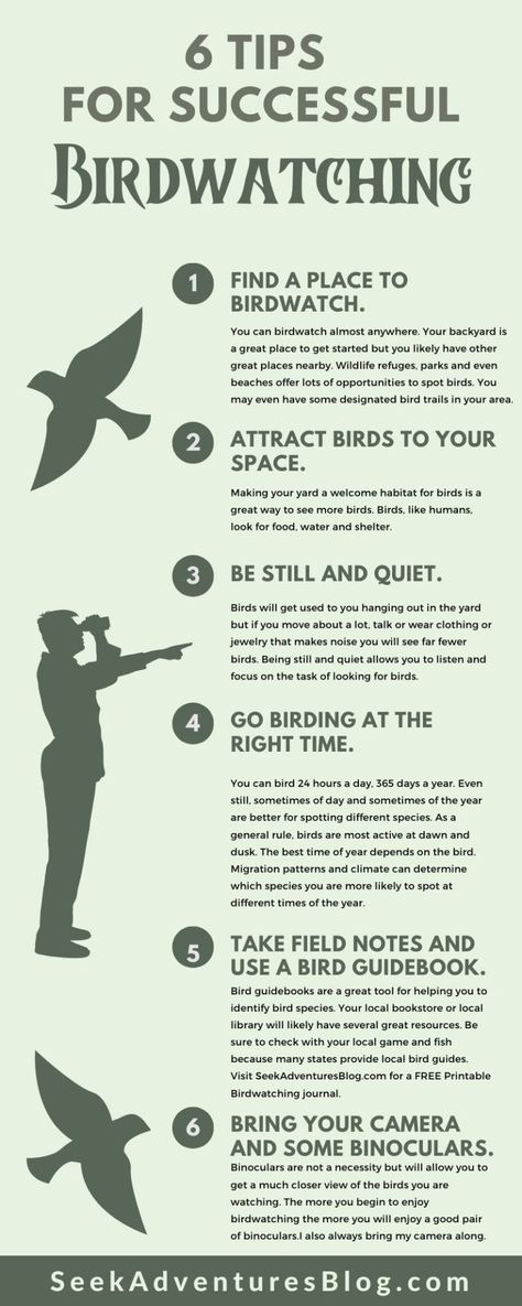 Birdwatching Aesthetic, Outdoor Hobbies, Birding Tips, Birdwatching, Birds Beaks Activities, Snowbirds Tips, Bird Beaks Activity, Birdwatching Journal, Bird Watching For Beginners