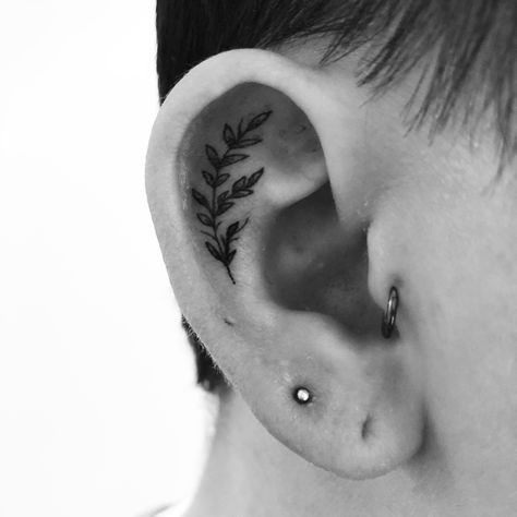 Fern Ear Tattoo Ear Tattoo Leaves, Nature Ear Tattoo, Plant Ear Tattoo, Fern Tattoo Behind Ear, Fern Tattoo Simple, Fern Ear Tattoo, Ear Leaf Tattoo, Small Tattoos Ear, Leaf Ear Tattoo