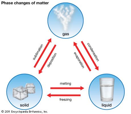 Art:The phase changes of matter include melting, freezing, evaporation, condensation, deposition, and sublimation. What Is Matter, Changes In Matter, Matter Activities, Middle School Science Experiments, Fun Facts About Animals, Matter Science, Science Notebooks, States Of Matter, Activities Worksheet