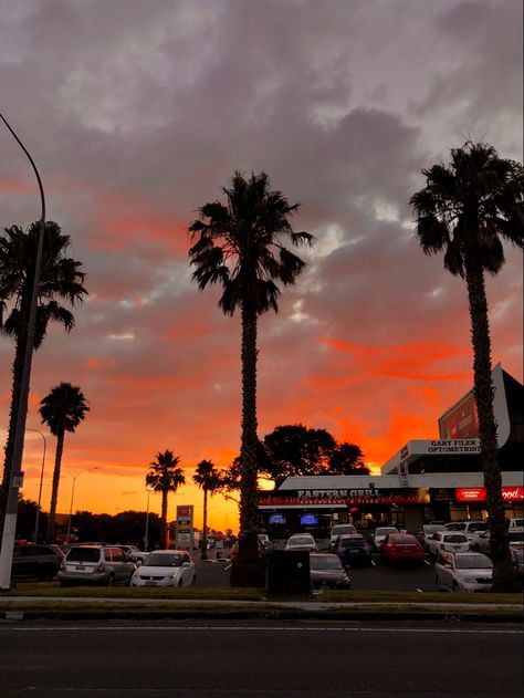 Sunset, red skies, palm tree, shops, summer New Zealand Sunset, Red Skies, Red Sky, New Zealand, Red