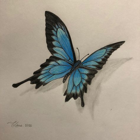 Coloured Butterfly Drawing, Butterfly Coloured Pencil Drawing, Color Pencil Butterfly, Blue Butterfly Drawing, Natural Forms Gcse, Butterfly Sketch, Lucky Wallpaper, Art Final, Blue Drawings