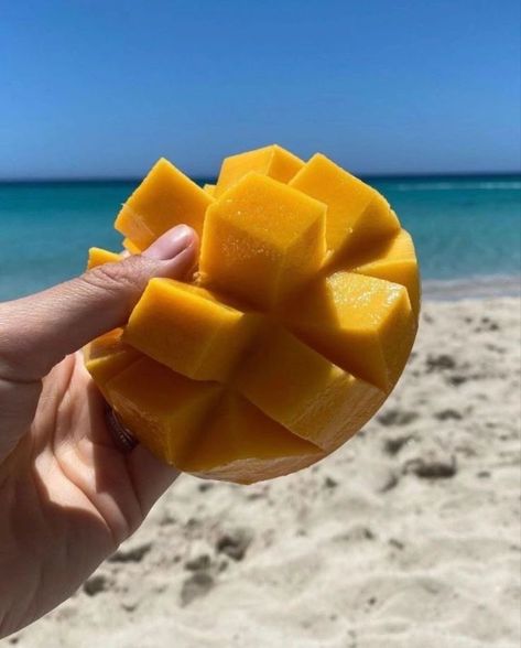 Mango Aesthetic, Aesthetic Fruit, Mango Dessert, Organic Recipes Healthy, Fruit Bat, Cute Coquette, Food Fruit, Healthy Lifestyle Food, Summer Tropical