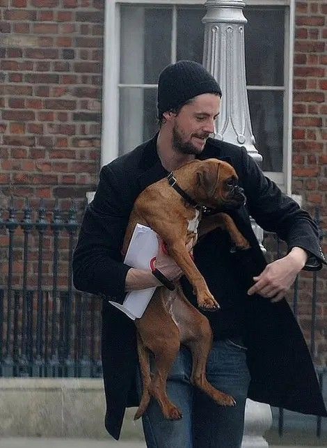 Mathew Goode Boxer Dog Names, Celebrity Dogs, Boxer And Baby, Matthew Goode, Famous Dogs, Boxer (dog), Puppy Kisses, Boxer Puppy, Boxer Love