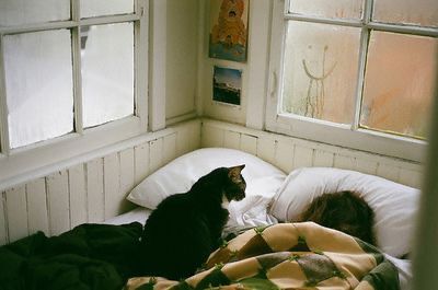 Slaap Lekker, Two Cats, Crazy Cat Lady, 귀여운 동물, Crazy Cats, Cat Lady, Film Photography, A Cat, Dream Life