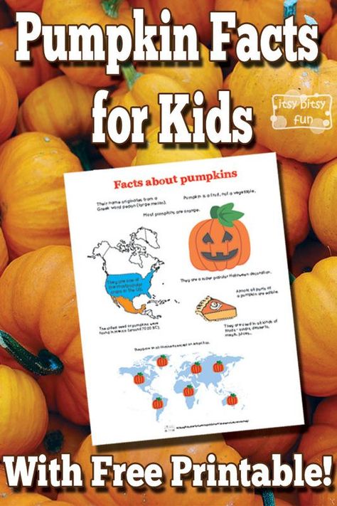 Pumpkin Facts for Kids With Free Printables Free Learning Printables, Pumpkin Facts, Kindergarten October, Pumpkin Lessons, Autumn Projects, Pumpkin Unit, Ag Teacher, Pumpkin Life Cycle, Fun Facts For Kids