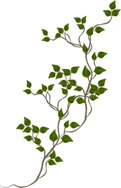 Floral Vine Drawing, Fleurs Art Nouveau, Drawing Borders, Creepers Plants, Vine Drawing, Climber Plants, Png Flowers, Floral Textile, Vine Tattoos