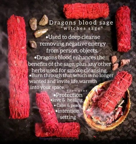 Red Sage Smudge Benefits, Red Sage Benefits, Dragon Blood Incense Benefits, Dragons Blood Incense Meaning, Daily Spells, Dragons Blood Sage, Indian Rituals, Sage Benefits, Smudging Ceremony