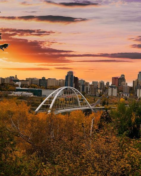 Canada Aesthetic, Edmonton Canada, Fall Landscape Photography, Fall Landscape, Red Deer, Instagram Life, Urban Photography, Fall Aesthetic, In The Fall