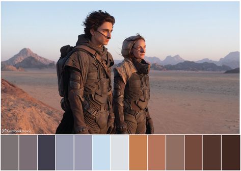 Landscape Movie Scene, Color Grading Inspiration, Cinematic Pallet, Dune Color Palette, Dune Scenes, Dune Photoshoot, Cinema Palettes, Lr Editing, Color In Film