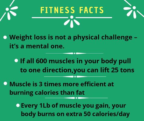 Exercise Facts, Fitness Facts, Muscles In Your Body, Cardio Routine, Men’s Fitness, Exercise Motivation, Muscle Body, Trim Fit, Health Knowledge