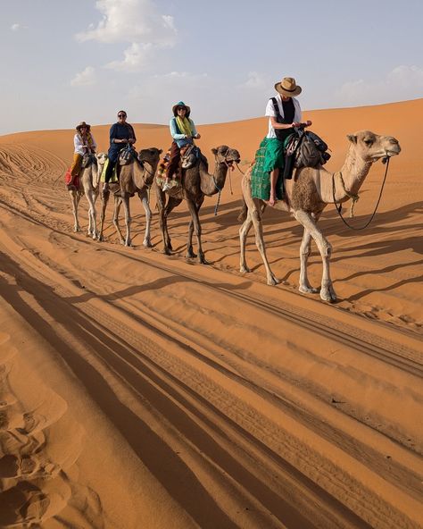 Riding camels in the desert The Sahara Desert, Back To Home, Sahara Desert, Make Memories, In The Desert, The Trip, The Desert, New Friends, Morocco