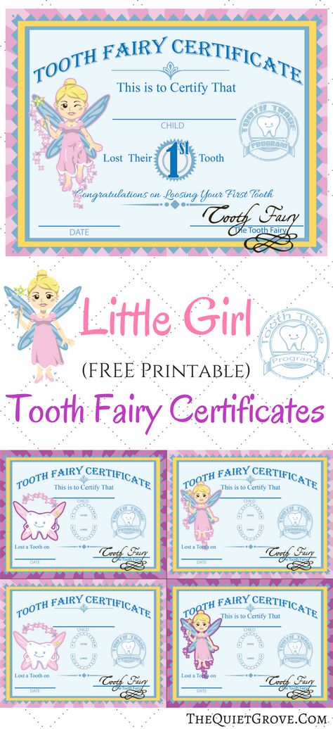 Free Printable Tooth Fairy Certificates ⋆ The Quiet Grove Fairy Minecraft, Tooth Fairy Letter Template, Stars Origami, Origami Dollar, Tooth Fairy Note, Flowers Origami, Origami Hearts, Tooth Fairy Receipt, Tooth Fairy Kit