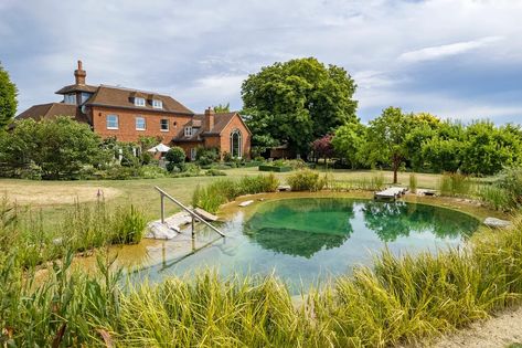 How to create a natural swimming pond in your garden | House & Garden Swimming Pond Ideas, What To Plant When, Natural Swimming Ponds, Wild Swimming, Pond Ideas, Diving Board, Swimming Pond, Garden Calendar, Natural Swimming Pool