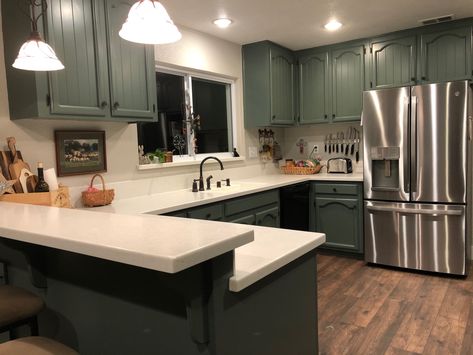 Sherwin Williams Succulent Kitchen Cabinets, Succulent Green Kitchen Cabinets, Sherman Williams Succulent Paint, Succulent Cabinet Color, Succulent Kitchen Cabinets, Succulent Sherwin Williams Paint, Succulent By Sherwin Williams, Sw Succulent Cabinets, Wherein Williams Succulent