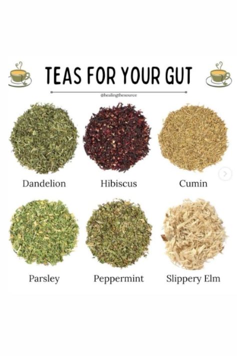 Teas for your Gut Healthy Gut Diet, Easy Teas, Gut Health Diet, Best Herbal Tea, Healing Tea, Gut Health Recipes, Health Tea, Wellness Recipes, Herbs For Health