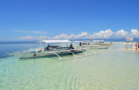 Journey Information to Virgin Island in Panglao, Bohol Check more at https://trailertraveling.com/journey-information-to-virgin-island-in-panglao-bohol/ Panglao Bohol, Virgin Island, Bohol, Virgin Islands, Paris Travel, Paris, Travel, Quick Saves