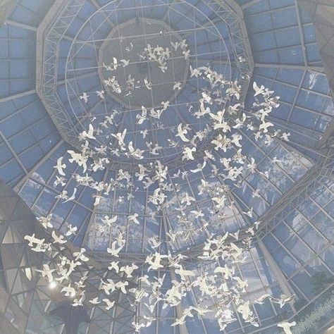 Cat Morrison on Instagram: “Paper doves 🕊” Zeus Aesthetic, Zeus Children, Cabin Aesthetic, Light Blue Aesthetic, Ethereal Aesthetic, Royal Aesthetic, Blue Aesthetic Pastel, Fairy Aesthetic, Blue Pictures