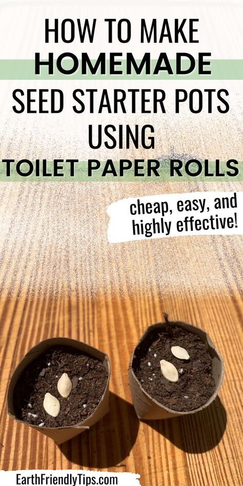 Eco Friendly Toilet, Minimalist Lifestyle Inspiration, Plants For Raised Beds, Benefits Of Gardening, Vegetable Plants, Seed Starter, Motivation Ideas, Recycling Ideas, Toilet Paper Rolls