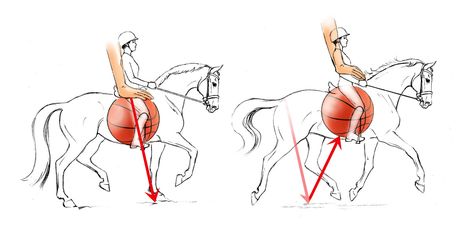 George Morris, Dressage Exercises, Trail Riding Horses, Horseback Riding Tips, Dressage Training, Saddle Rack, Horse Exercises, Horse Facts, Equestrian Problems