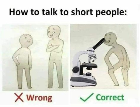 38 Saucy Memes To Share With Friends - Memebase - Funny Memes Short People Memes, Short People Humor, Short People Jokes, Short Memes, Biology Memes, Aesthetic Warning, Physics Memes, Short Jokes, Short People