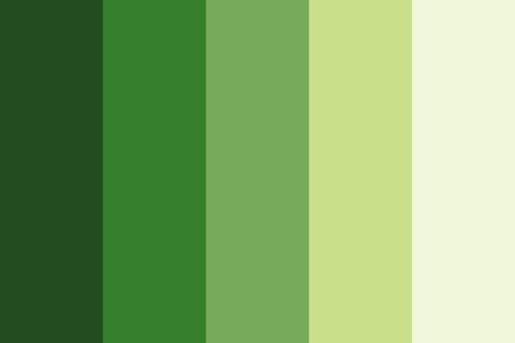 Parrot Green color palette created by sikenman that consists #234d20,#36802d,#77ab59,#c9df8a,#f0f7da colors. Green Colour Images, Color Schemes Design, Green Color Palette, Create Color Palette, Brown Color Schemes, Parrot Green, Gold Color Palettes, Yellow Colour Scheme, Spring Color Palette