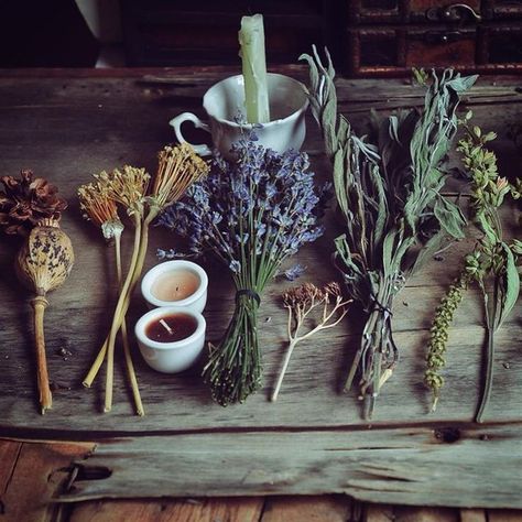 Herbal Amulets Logo Moodboard, Magia Das Ervas, Have Inspiration, Witch Aesthetic, Witchy Woman, Green Witch, Kitchen Witch, Witchy Vibes, Dragon Age