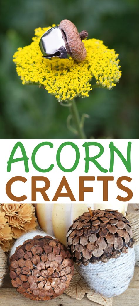 Acorns are such a classic symbol of fall. If you want to make some acorn craft projects this autumn, we have rounded up some amazing acorn craft projects. Some of these are made with acorns while others are inspired by acorns. Diy Fun Crafts, Nut Crafts, Acorn Craft, Acorn Garland, Christmas Gifts For Teenagers, Diy Recycled Projects, Acorn Ornaments, Acorn Crafts, Cool Gifts For Teens