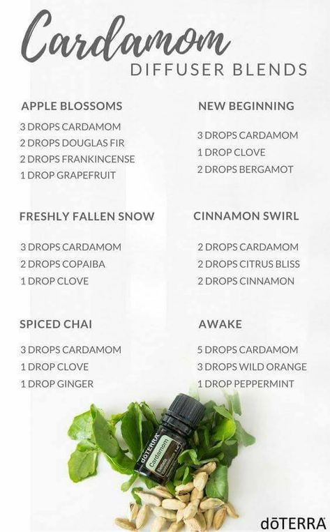 Cardamon Diffuser Blends Cardamom Essential Oil, Doterra Diffuser Blends, Doterra Essential Oils Recipes, Essential Oil Diffuser Blends Recipes, Essential Oil Diffuser Recipes, Oil Diffuser Recipes, Diffuser Recipes, Essential Oil Diffuser Blends, Oil Diffuser Blends