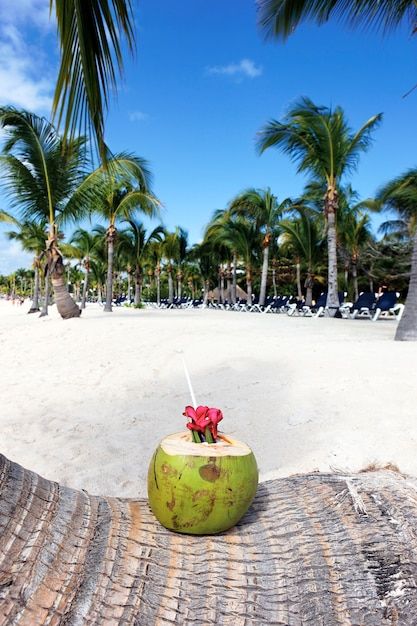 Coconut Drink, Coconut Drinks, In The Beach, Caribbean Beaches, Caribbean Sea, Free Photo, 1 Million, Palm Tree, Free Photos