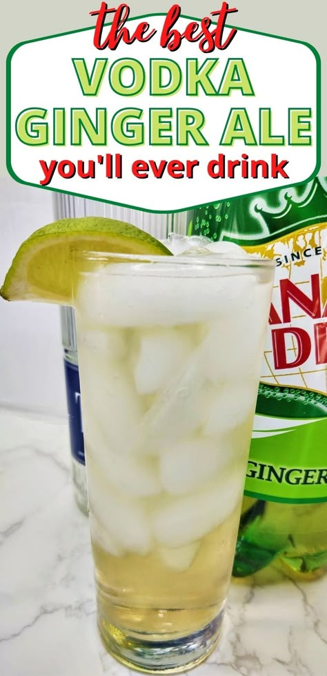 Easy Drink Cocktails, Drinks With Ginger Ale Alcoholic, Ginger Ale And Vodka, Good Mixed Alcoholic Drinks Vodka, Drinks Made With Vodka Easy, Mixed Drinks With Ginger Ale, Gin And Vodka Cocktails, Well Drinks Alcohol Cocktails, Refreshing Alcoholic Drinks Easy