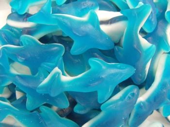 Gummy Shark, Gummy Sharks, Gummi Candy, Clean Core, Tropical Core, Beef Gelatin, Coconut Dream, Frutiger Aero, Cute Shark