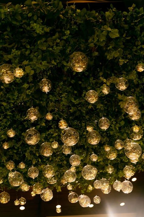 Greenery Ceiling, Ceiling Installation, Wine Cellar, Glass Globe, Fairy Lights, Fun Things To Do, Globe, Wedding Decorations, Things To Do