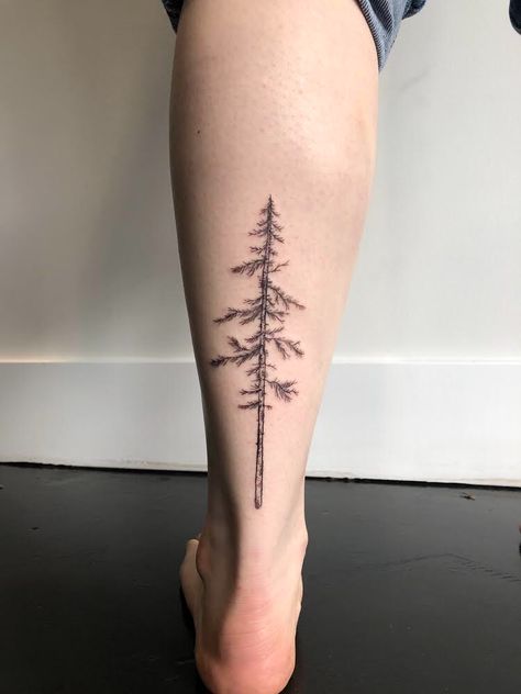 Back of ankle pine tree tattoo. Done by Steph at Dark Ocean Tattoo in Vancouver. Calf Tree Tattoo, Loblolly Pine Trees Tattoo, Ankle Tree Tattoo, Tree Calf Tattoo, Dark Ocean Tattoo, Behind Calf Tattoo For Women, Outer Ankle Tattoo, Pine Tree Tattoos For Women, Tree Tattoo Leg