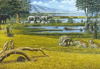 History of Earth - Pliocene Epoch - (Cenozoic Era) Cenozoic Era, History Of Earth, Three Million, Prehistoric Wildlife, Prehistoric World, Paleo Art, Green Technology, Prehistoric Animals, Carbon Dioxide