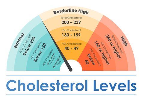 How to Reduce Cholesterol to A Healthy Level in Seniors | Elmcroft.com Regime Anti Cholesterol, High Cholesterol Symptoms, Hibiscus Sabdariffa, Better Food Choices, High Cholesterol Levels, Penyakit Jantung, Cholesterol Remedies, Healthy Cholesterol Levels, Lower Your Cholesterol