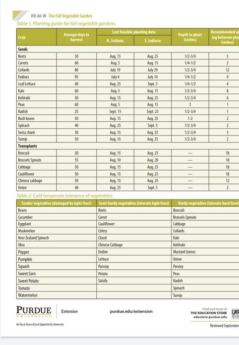 Planting Guide for Fall Vegetables Zone 5 & 6 Zone 6 Fall Vegetable Garden, Zone 5 Planting Schedule, Gardening Notebook, Vegetable Garden Planting Guide, Planting Schedule, Planting Guide, Garden Layout Vegetable, Gardening Zones, Fall Vegetables