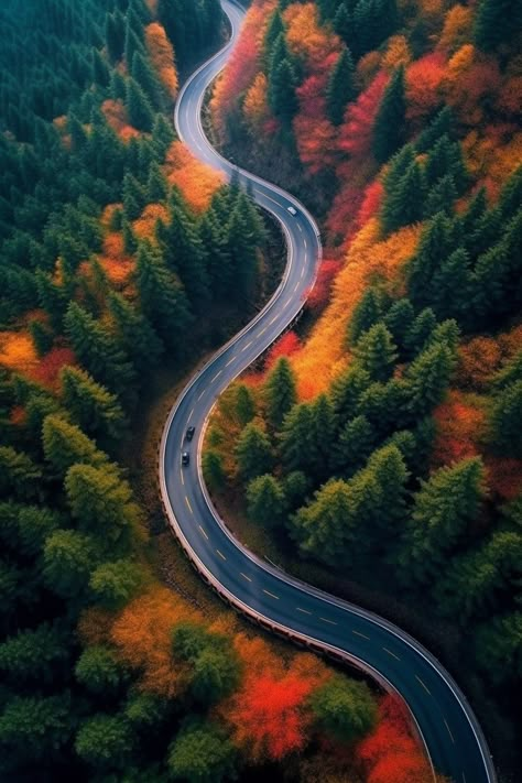 Best Nature Photos, Fall 2000s, Waterfall Scenery, Iphone Wallpaper Landscape, Best Nature, Beautiful Roads, Horse Aesthetic, Pretty Backgrounds, New Background Images